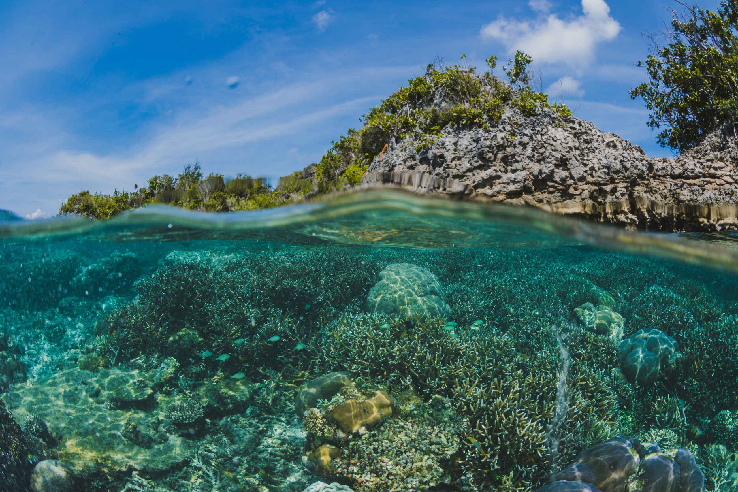 “Menyelami Keindahan Pulau Dodola : Permata Tersembunyi di Halmahera Utara”